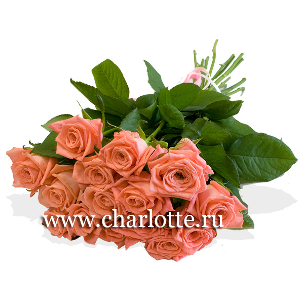 Букет роз "Роза Карина"