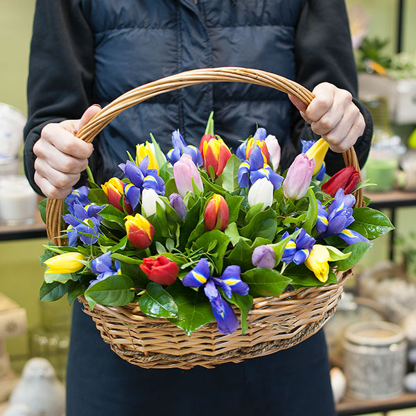 Корзина из разноцветных тюльпанов и синих ирисов "За пол часа до весны" 