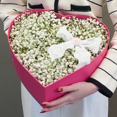 Заказать Коробка с гипсофилой "Облачко любви" с доставкой в Charlotte.ru Коробка с гипсофилой "Облачко любви"