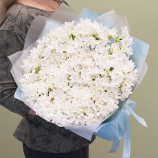 Букет цветов "Белые нарциссы"