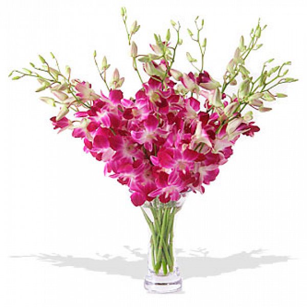 Букет из орхидей "Queen pink"(в вазе)