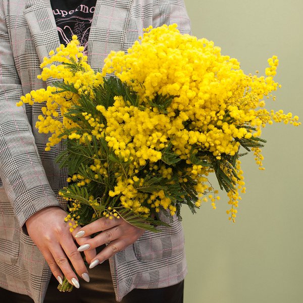 Букет цветов "Мимоза"