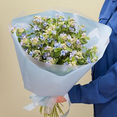 Букет цветов "Оксипеталум"