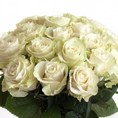 Букет из белых роз "Mondial"