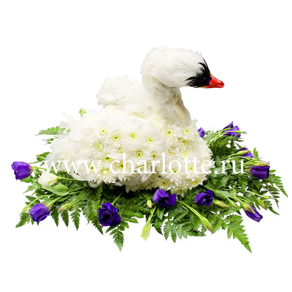 Фигура из цветов "Лебедь"
