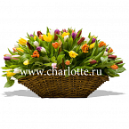 Корзина тюльпанов "Палитра весны"