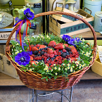 Корзина из ягод и цветов "Ягодный сюрприз"