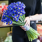 Букет цветов "Синие ирисы"