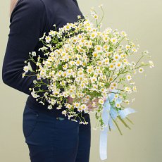 Заказать Букет цветов "Букетик ромашек" с доставкой в Charlotte.ru Букет цветов "Букетик ромашек"