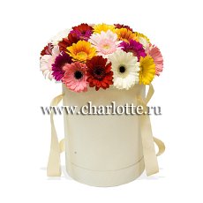Заказать Цветы в шляпной коробке "Любимые герберы" с доставкой в Charlotte.ru Цветы в шляпной коробке "Любимые герберы"