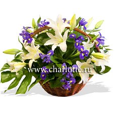 Заказать Корзина цветов "Лилии" с доставкой в Charlotte.ru Корзина цветов "Лилии"
